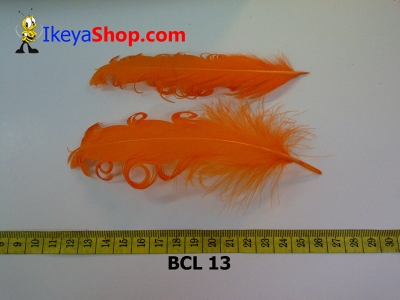 bulu curly BCL 13   feather  large2